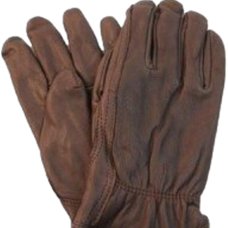 Thinsulate Lined Glove